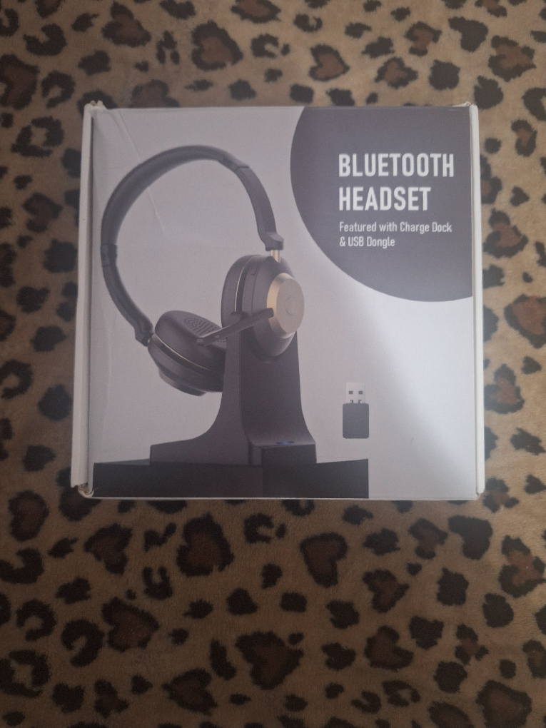 Bluetooth Headset with Charging Dock