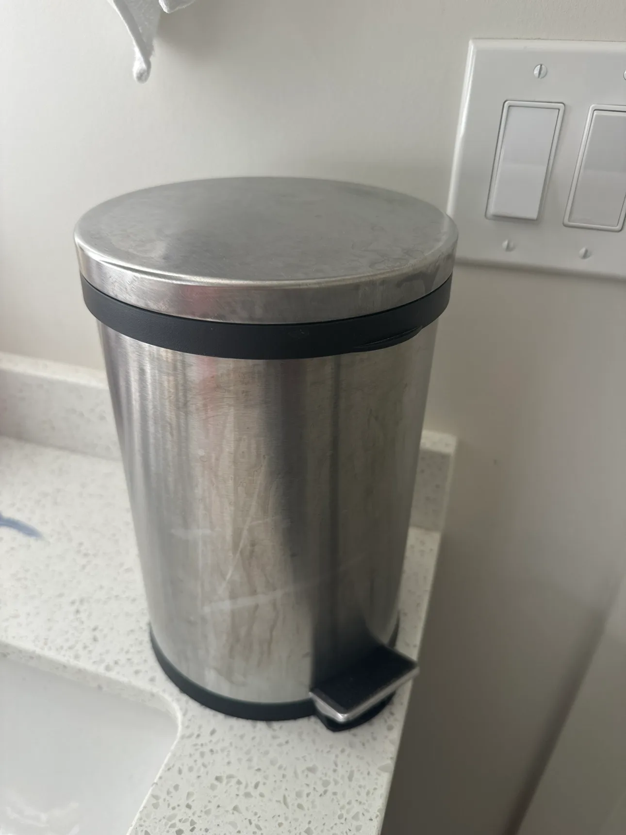 Stainless Steel Step Trash Can thumbnail