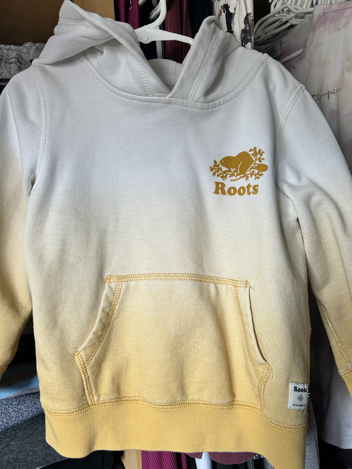 Kids Roots Ombre Hoodie 5T