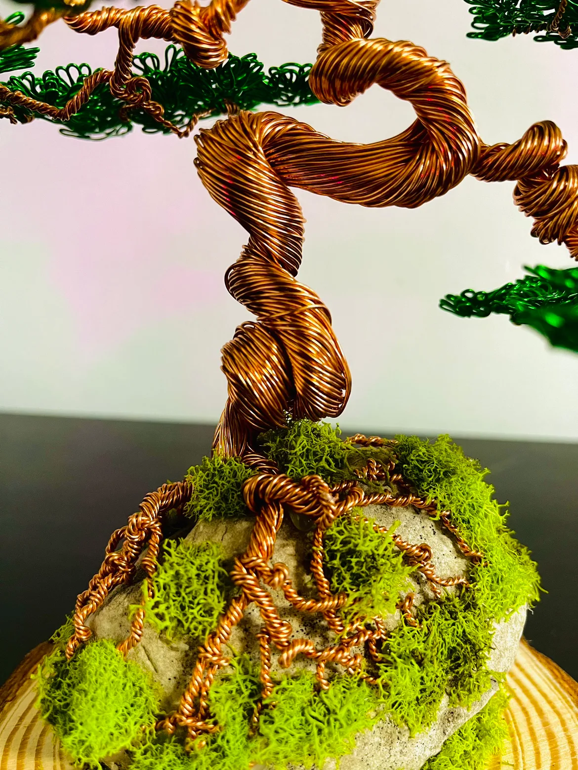 Bonsai wire tree image indicator(4)