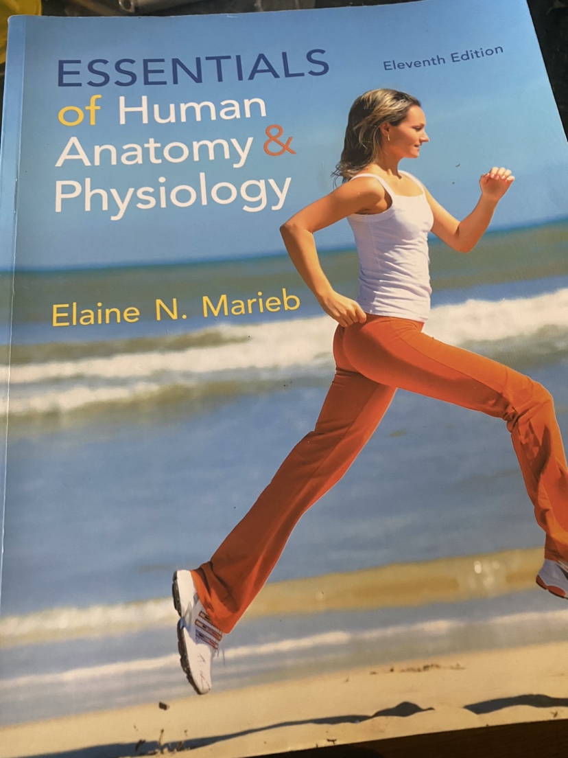 Essentials of Human Anatomy & Physiology, 11th Edition