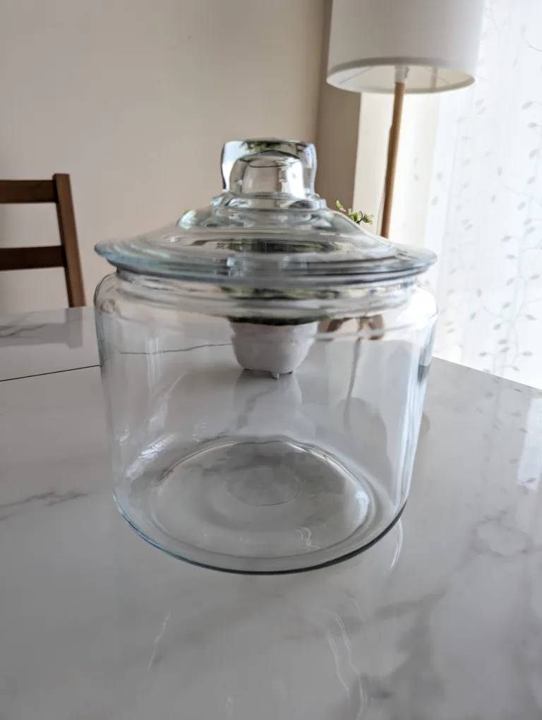 Glass Jar with Lid thumbnail