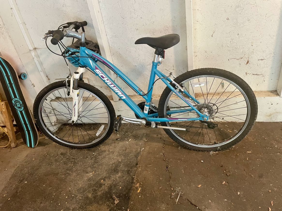 Schwinn Girls Bike