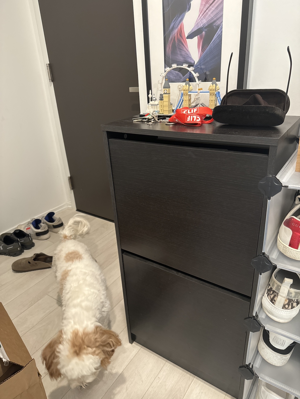 IKEA Shoe Cabinet - photo 2