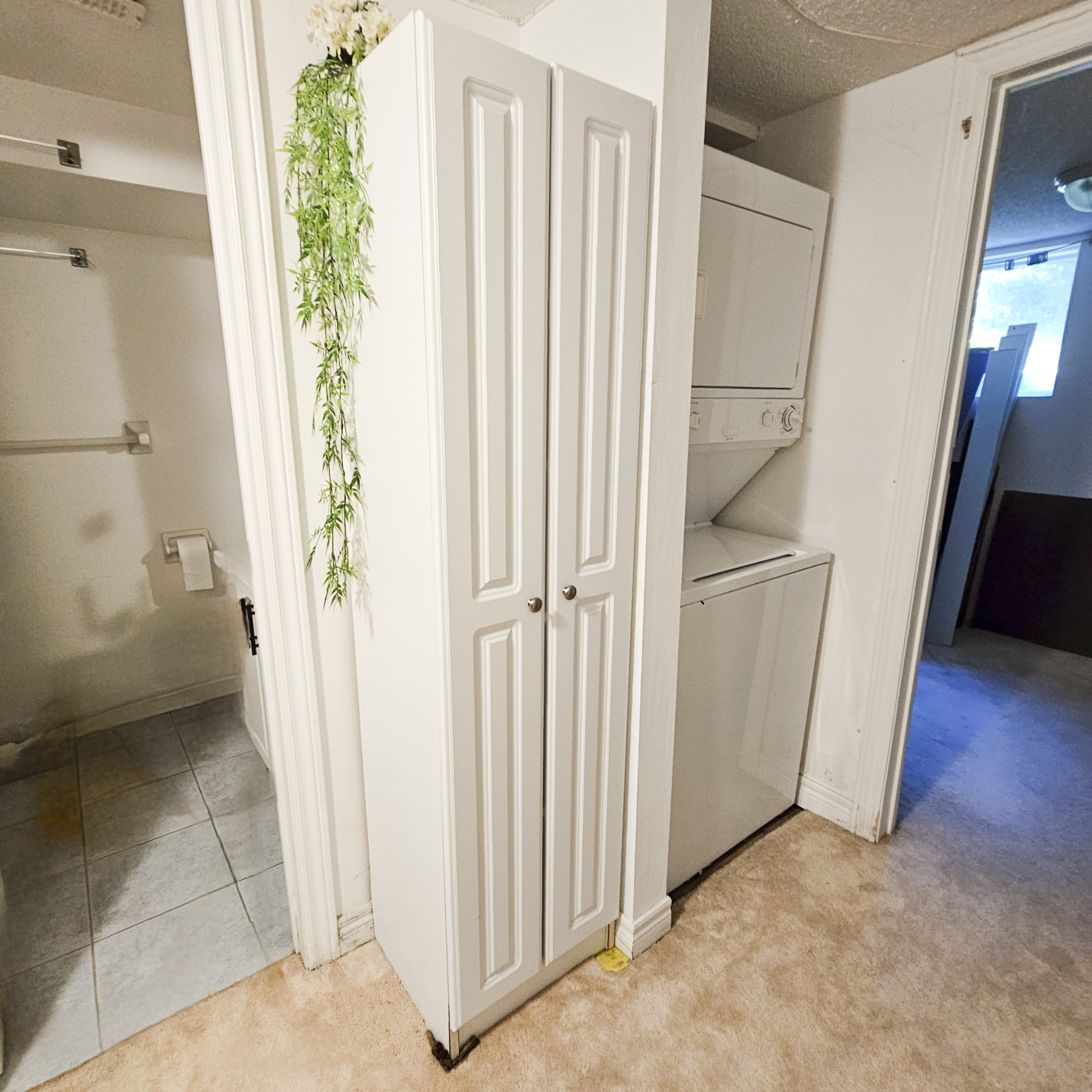 White Closet with Shelves