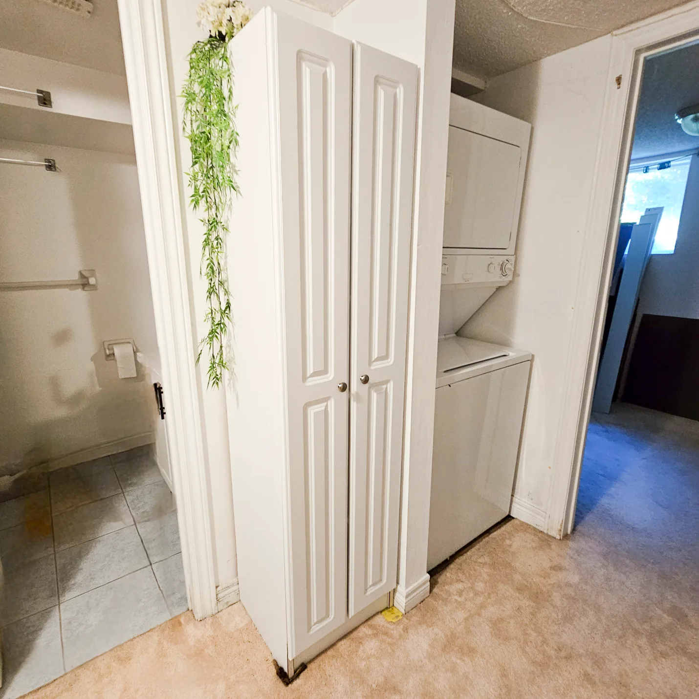 White Closet with Shelves thumbnail