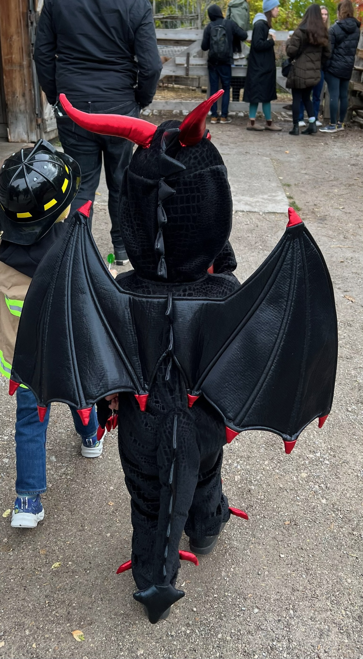 Dragon Halloween Costume - photo 3