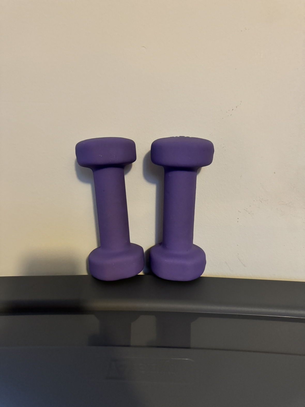 4 LB Purple Dumbbells