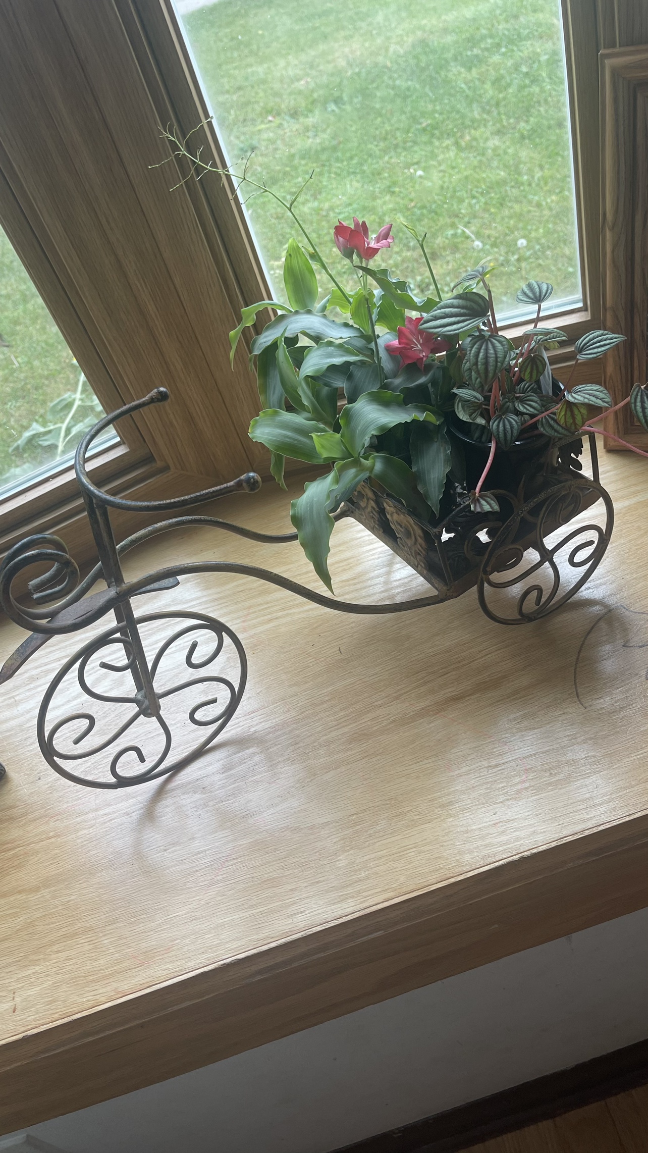 Metal Tricycle Planter ( plant 🪴 not included) 📌