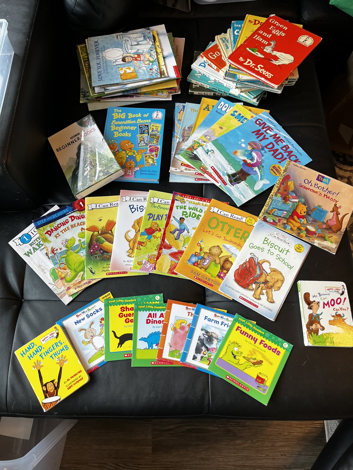 Large Lot of Children's Books