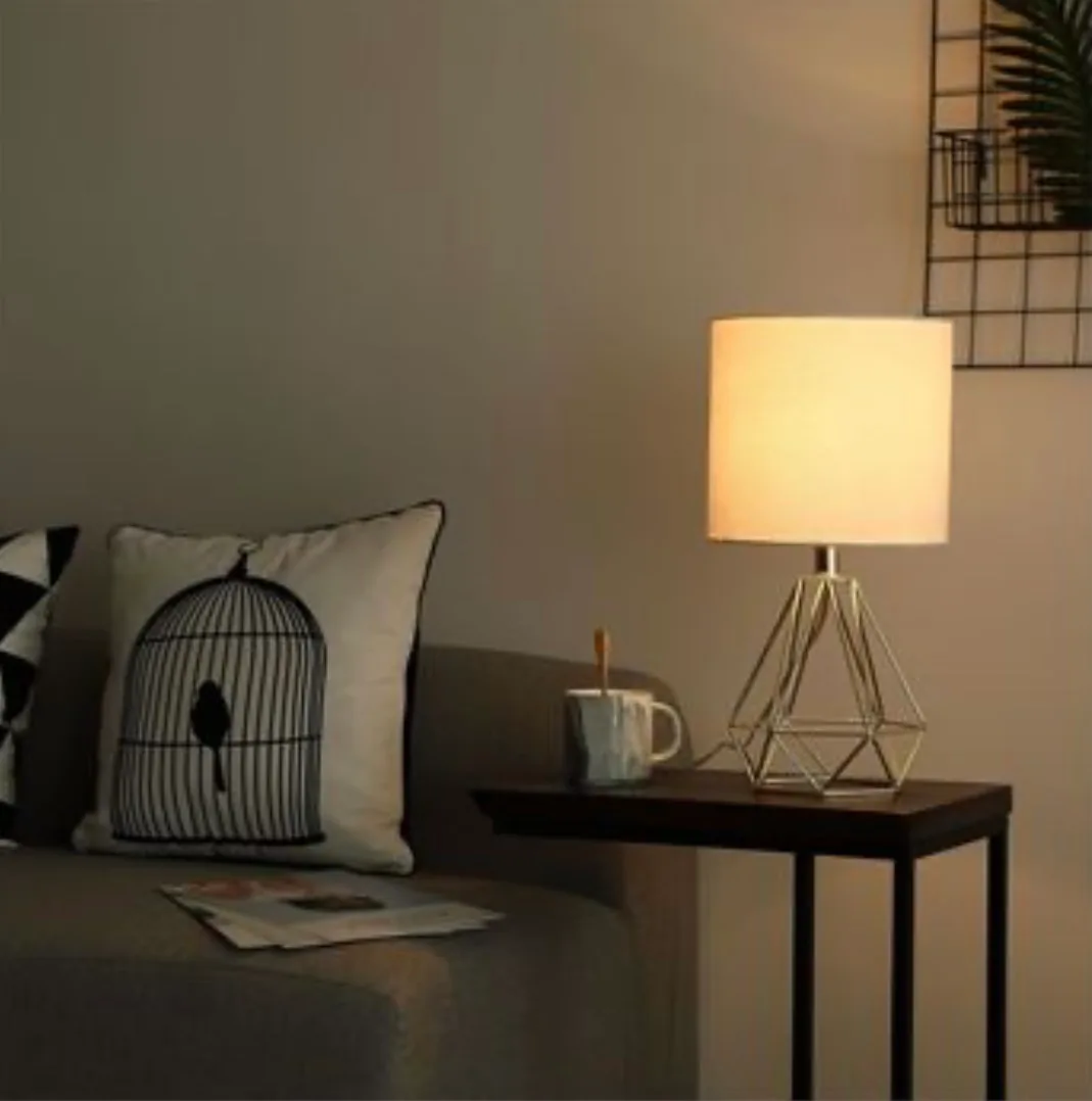 NEW - Table Lamp, Reinforced Geometric Wire Cage image indicator(8)