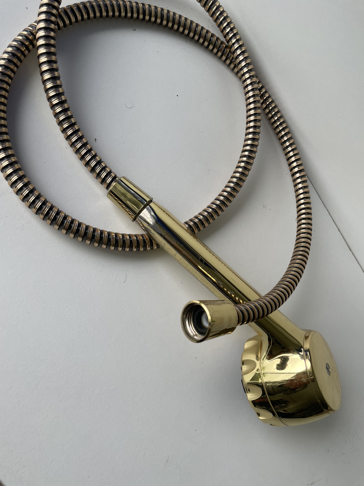 #Freecycle - Gold Handheld Showerhead with Hose - photo 2