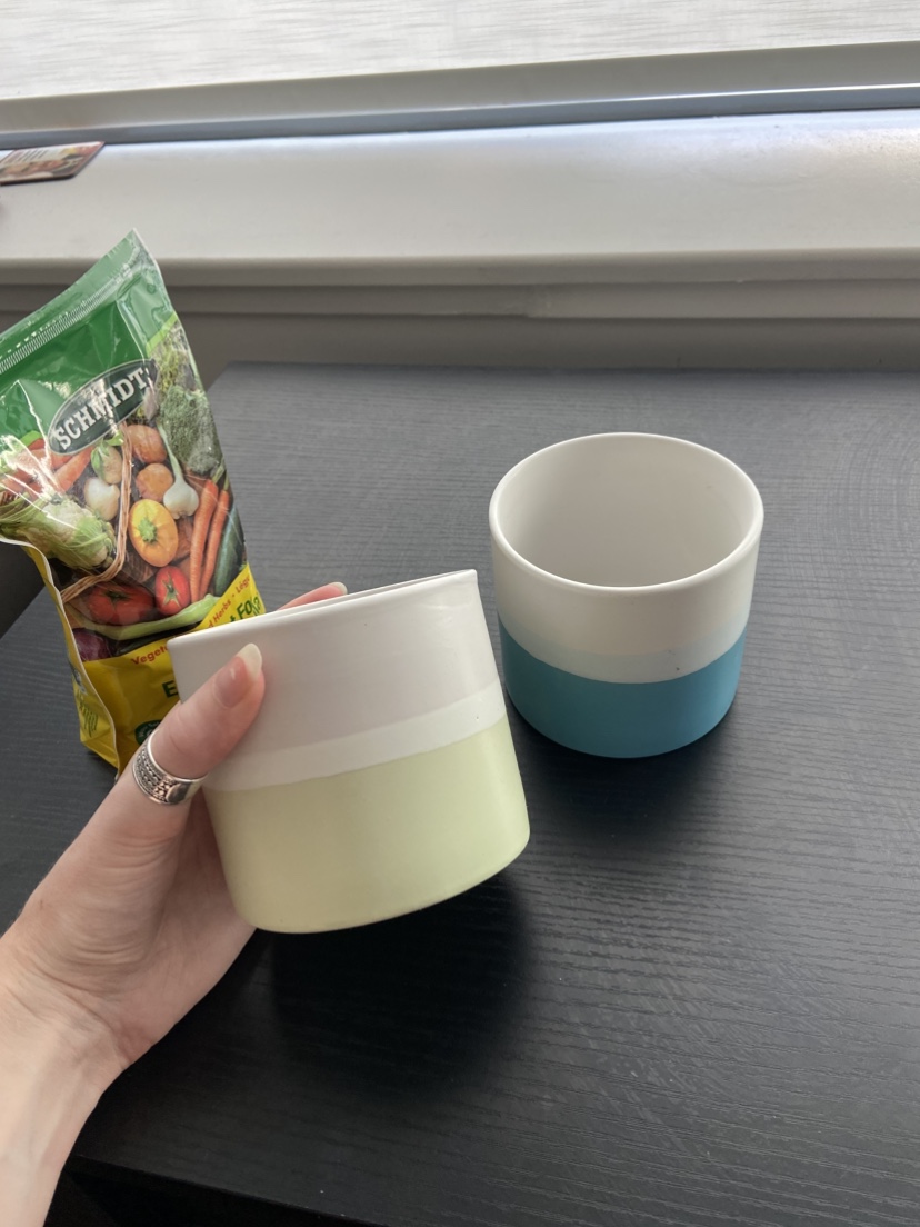 Pot for plant