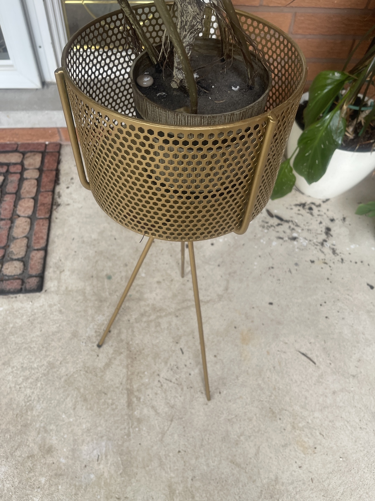Gold Plant Stand - photo 3