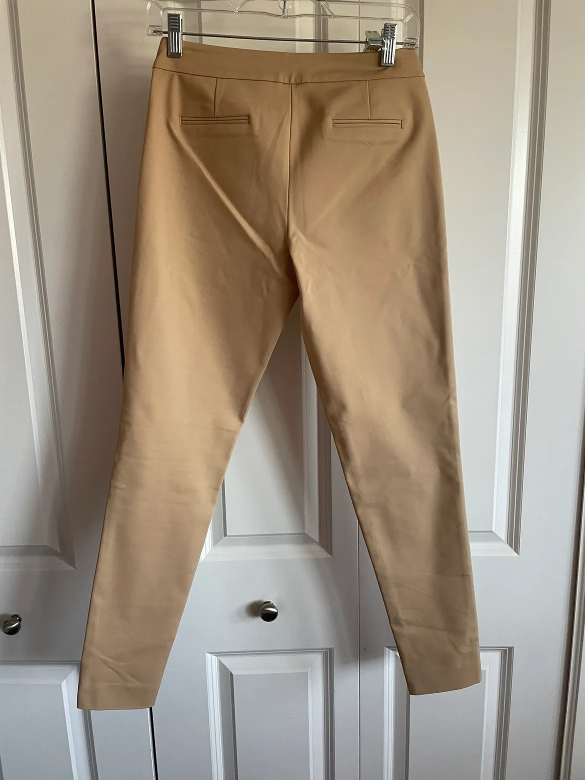 Sacoor Brothers Women's Beige Dress Pants image indicator(2)