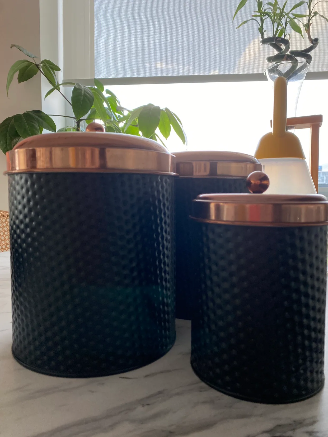 Set of 4 Canisters image indicator(2)