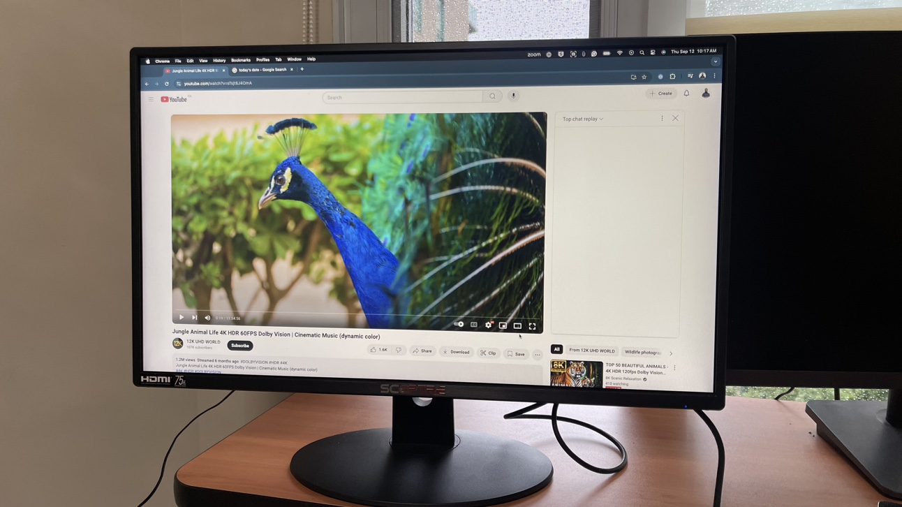 Sceptre and LG 24 inch Monitor Screens - photo 2