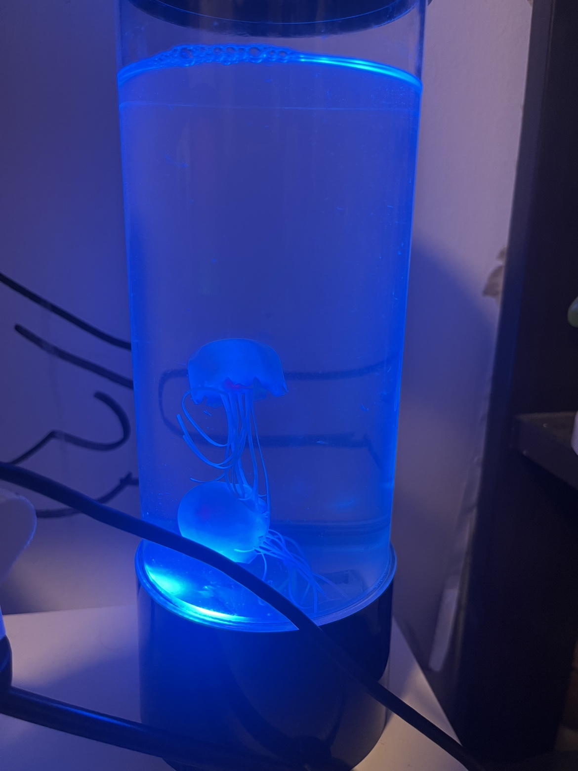 Jellyfish Lamp