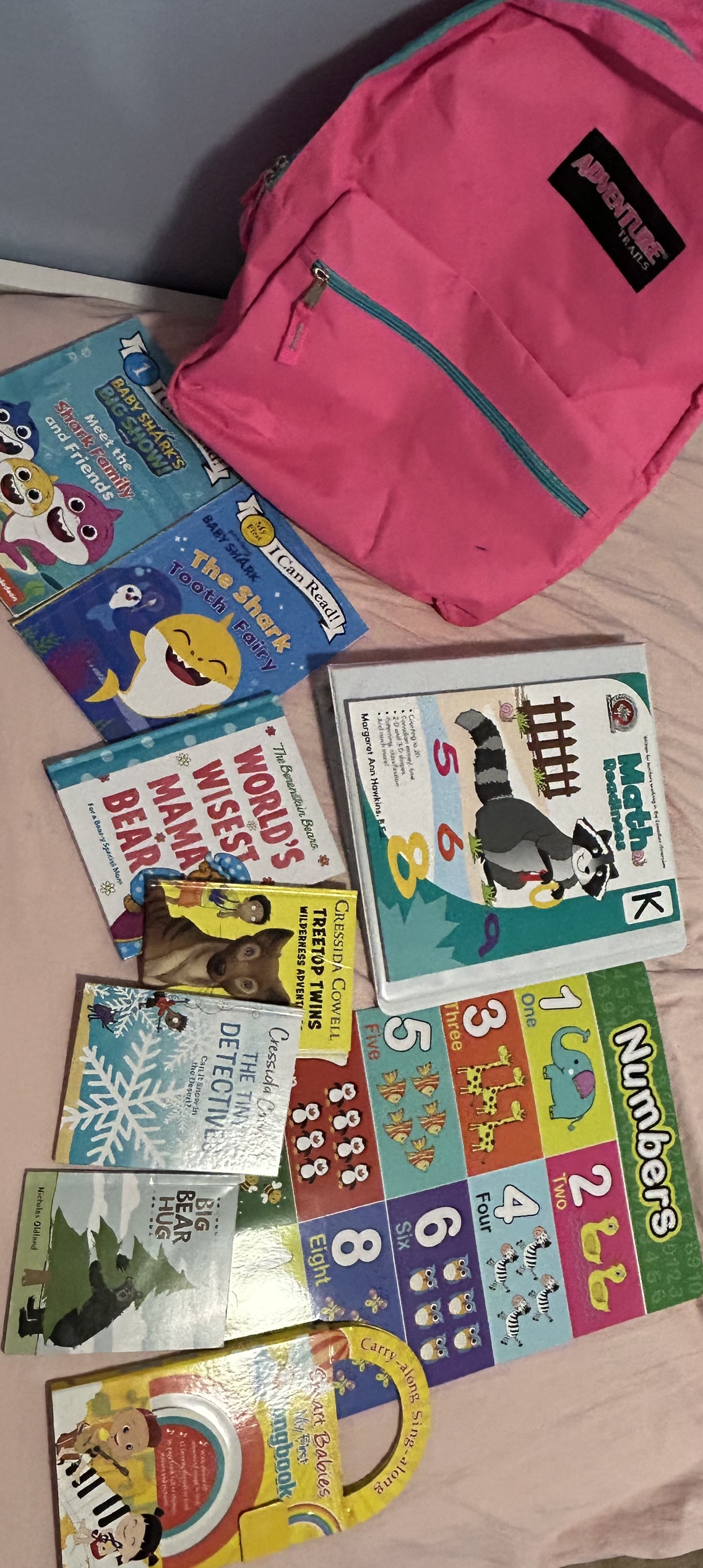 #freecycle Backpack and Books - photo 2