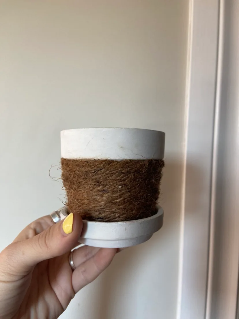 Mini Planter Pot 🧡 thumbnail