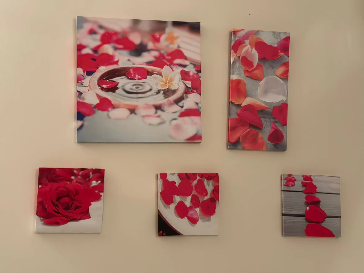 Set of 5 Rose Petal Canvas Wall Art thumbnail