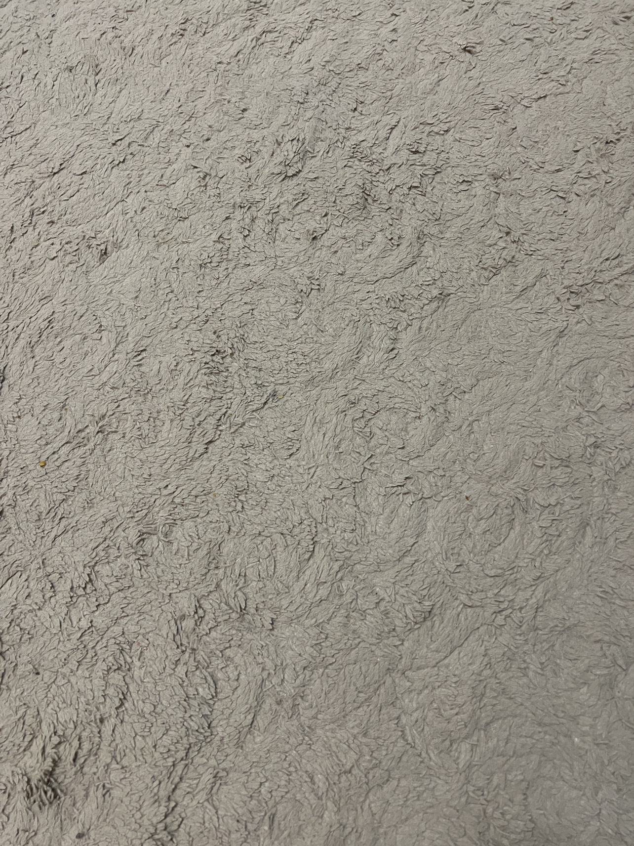 Tan Shag Rug/carpet (MOVING OUT SALE) - photo 2