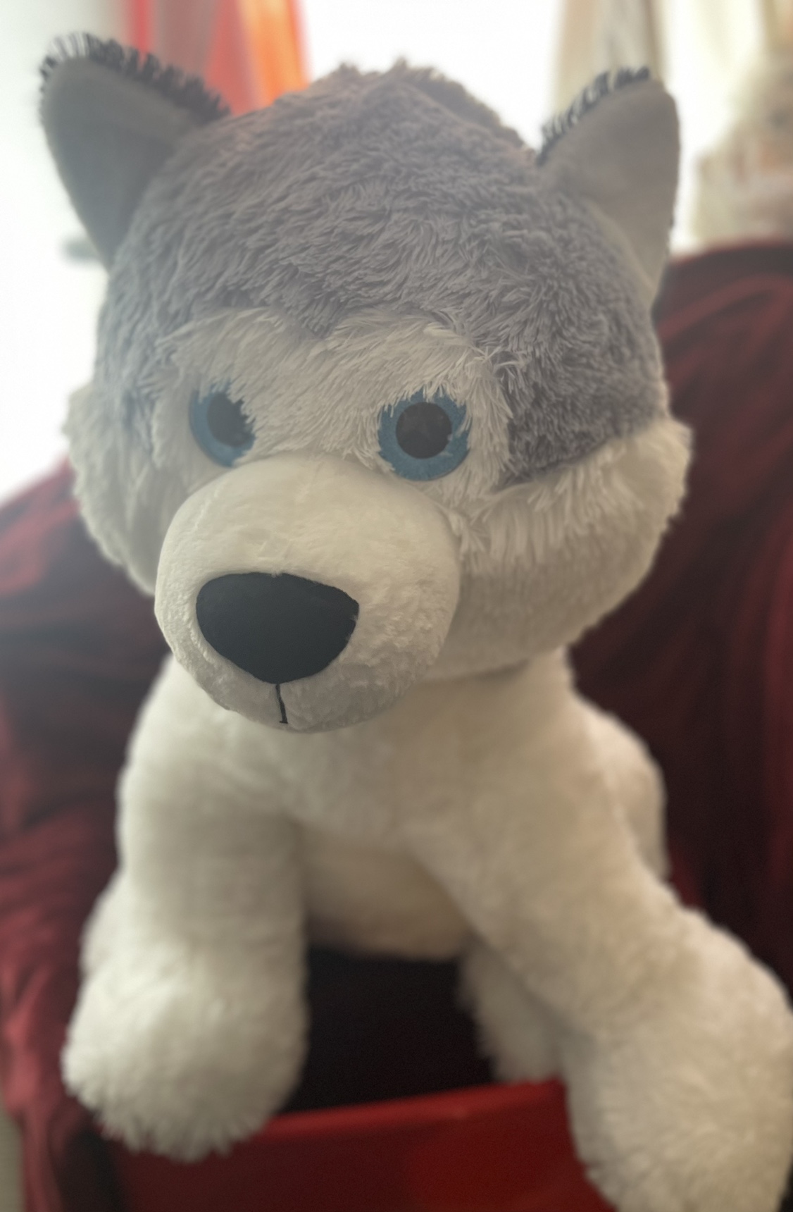Large Plush Husky Dog with Big blue eyes needs a New Home - photo 3