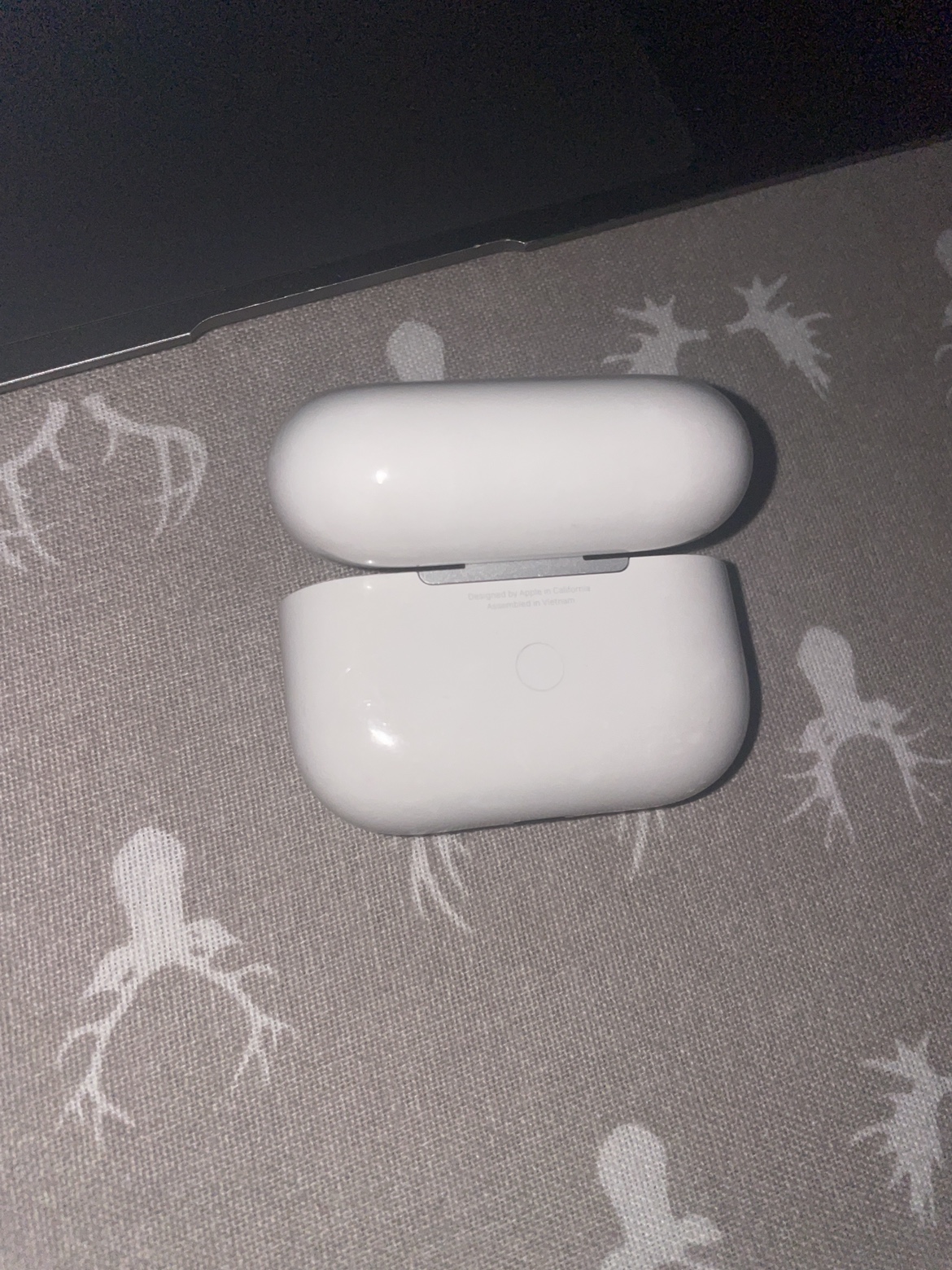 Apple Airpods Pro Case - photo 2