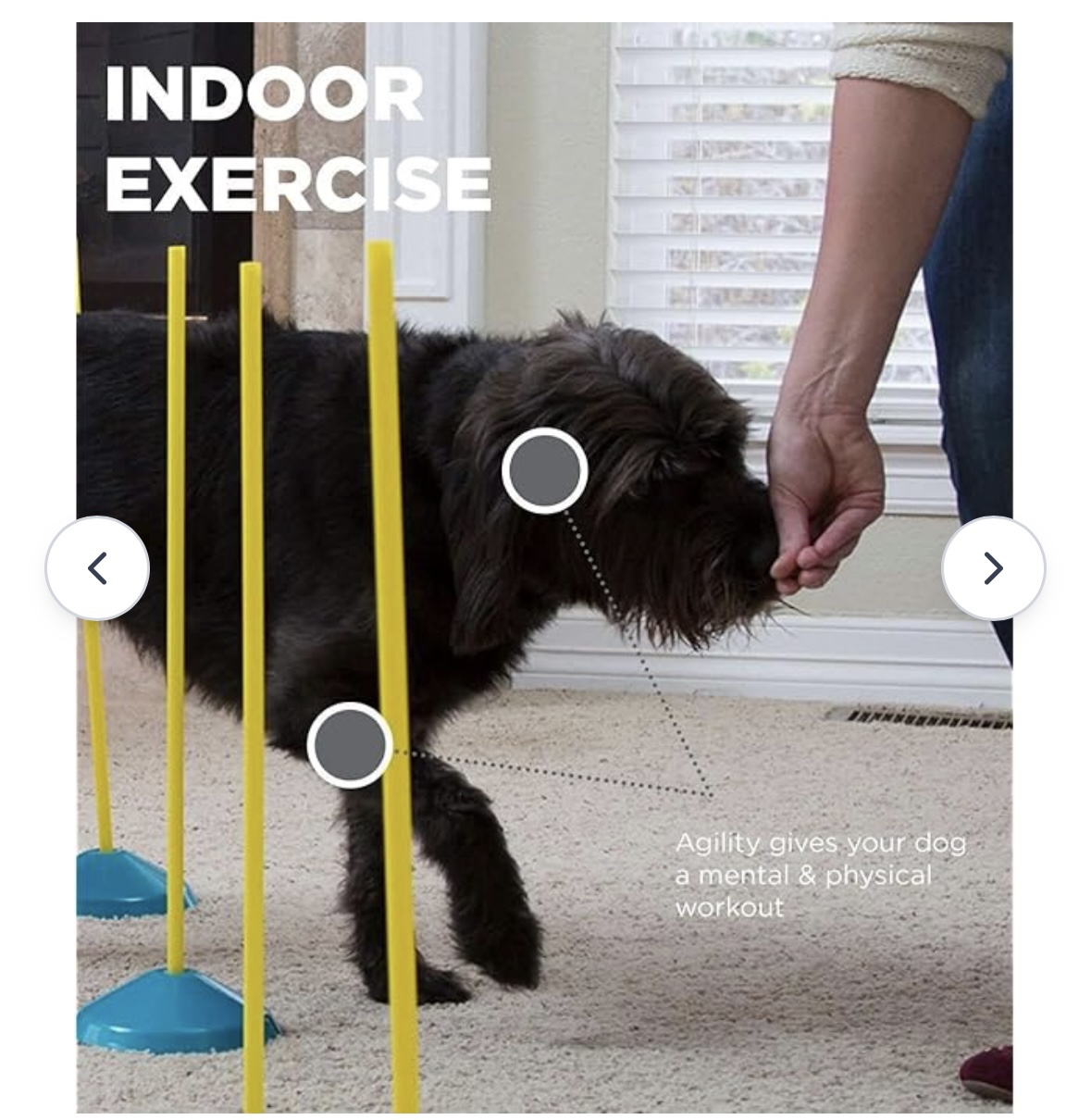 Outward Hound Zip & Zoom Indoor Agility Kit - photo 2