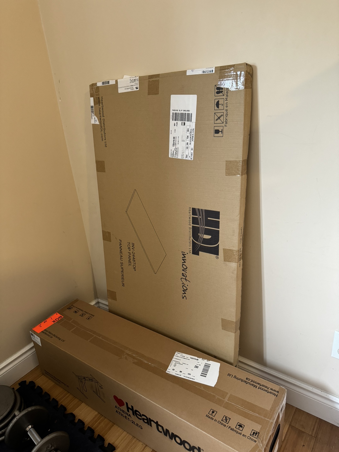 Electric Standing Desk
