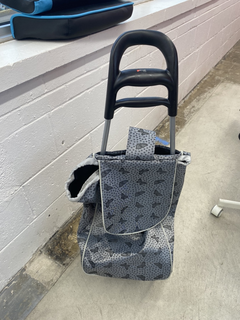 Rolling Shopping Cart