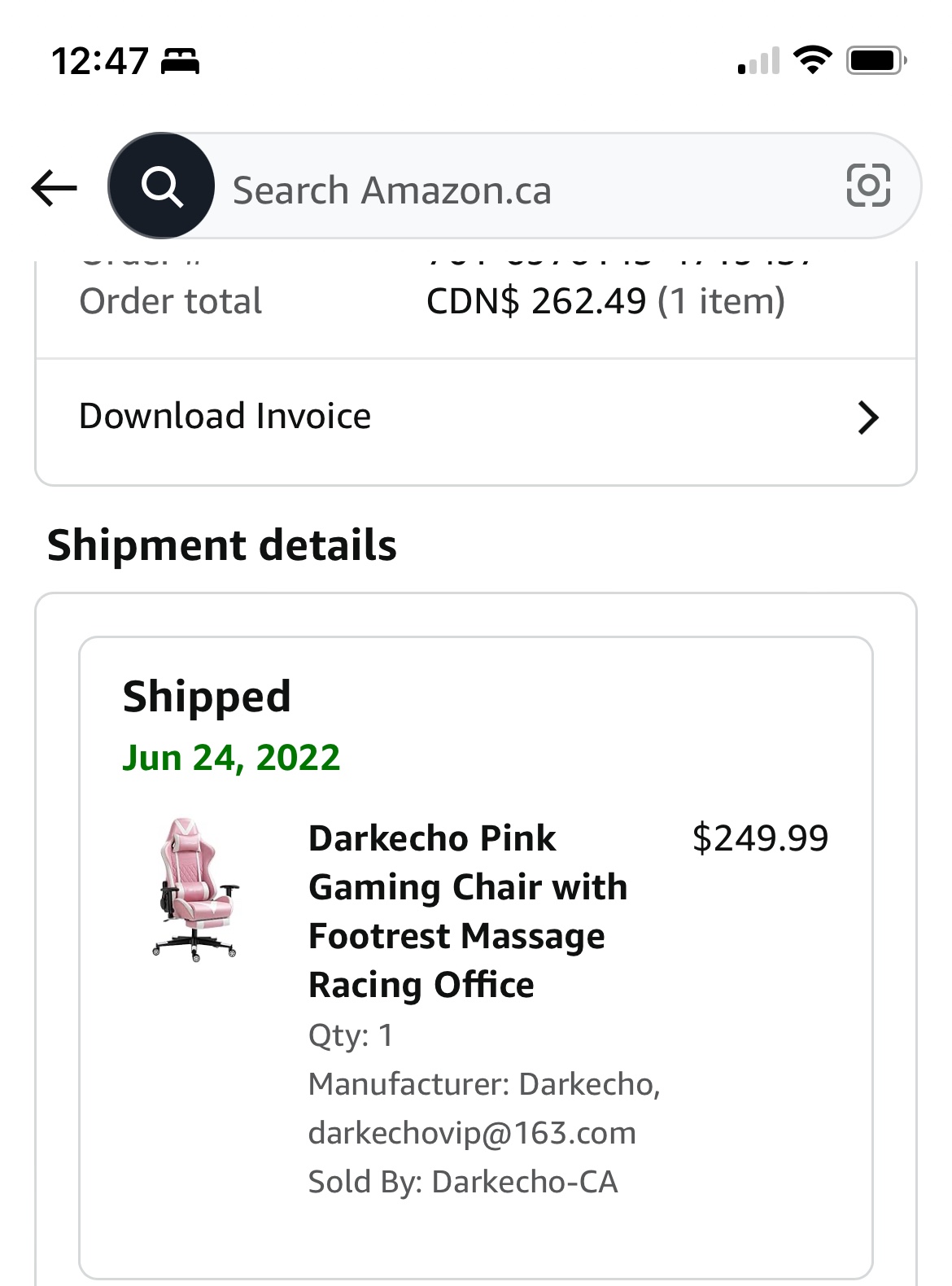 Darkecho Pink Gaming Chair - photo 2
