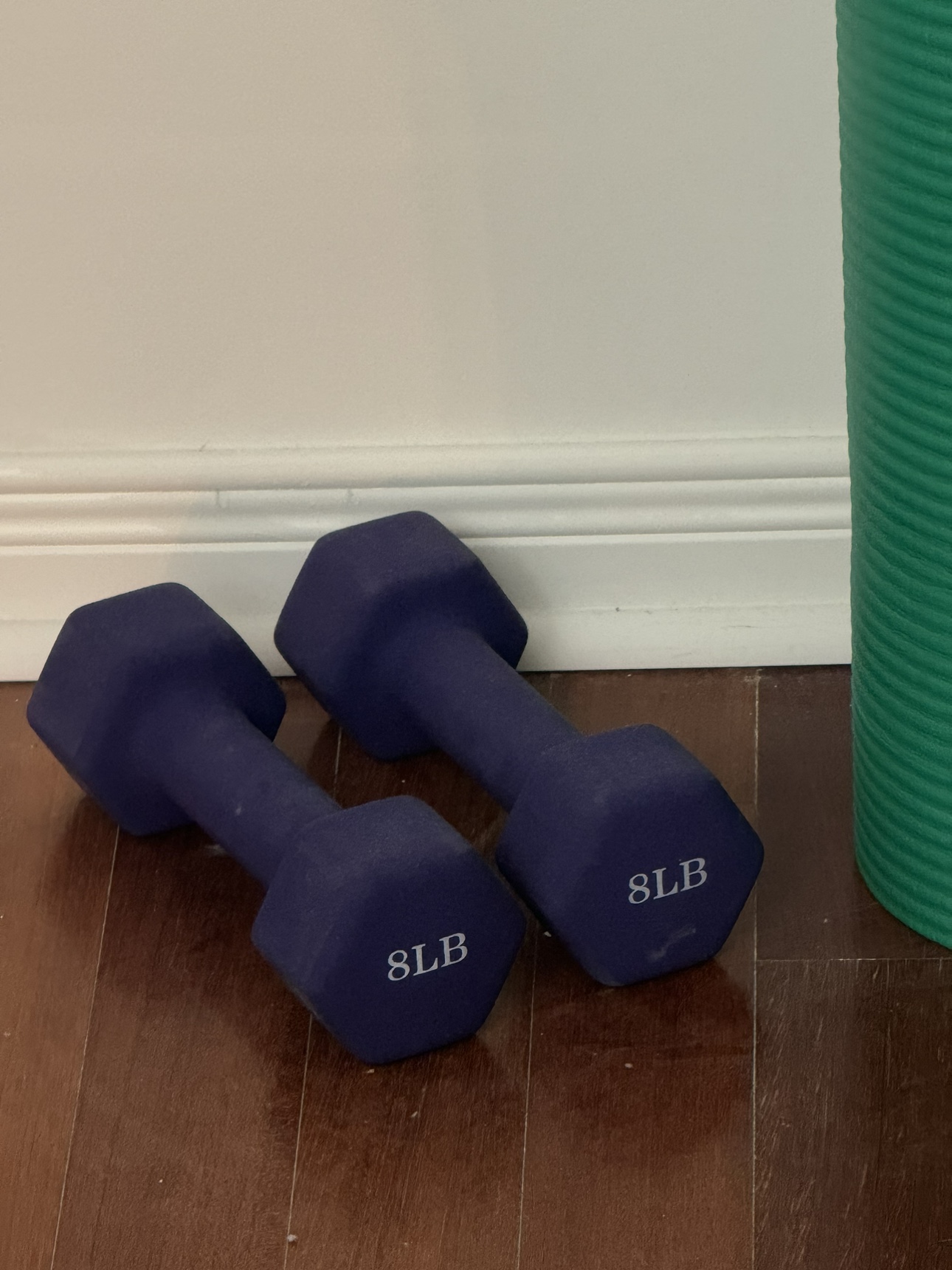 8lb Dumbbells and Yoga Mat - photo 2