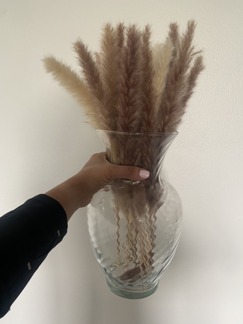 Pampas +vase - photo 2