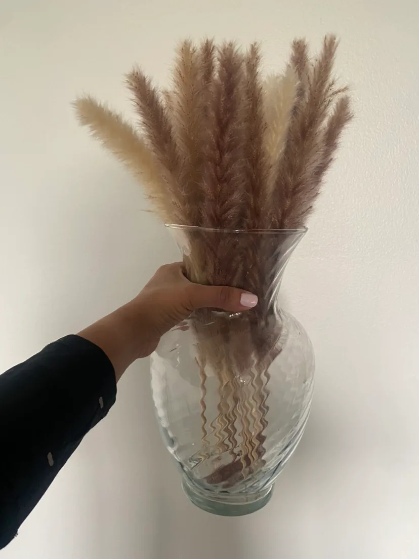 Pampas +vase image indicator(2)