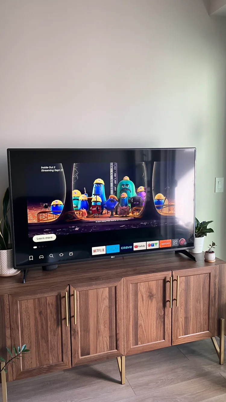 LG TV 55” image indicator(2)