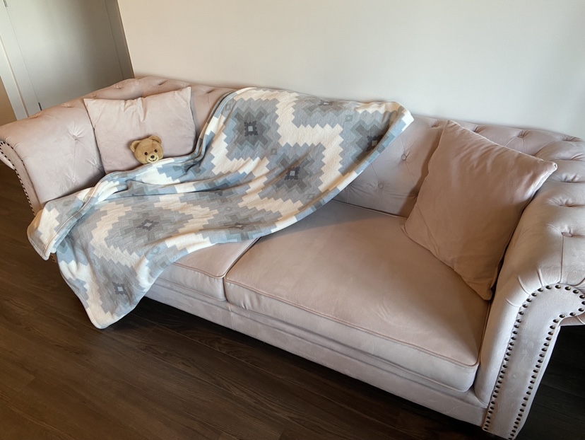 Pink Velvet Couch - photo 3