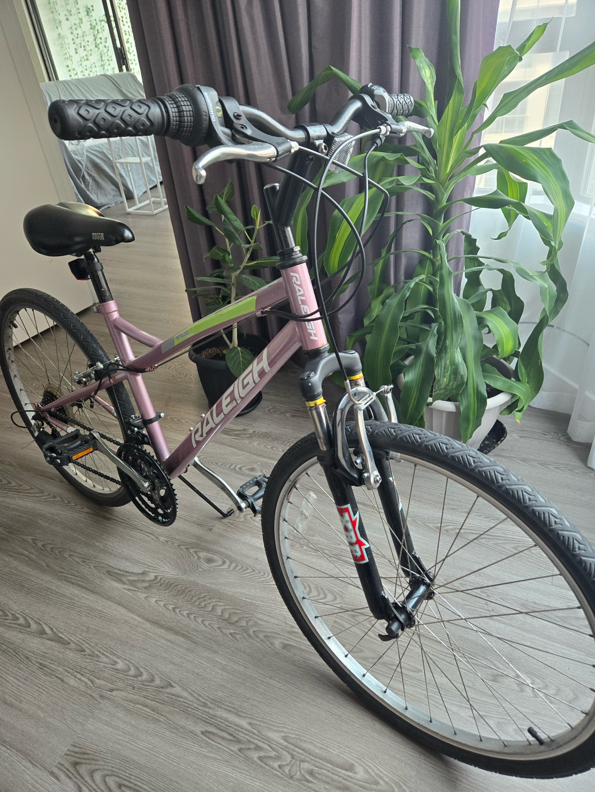 Raleigh bike female size small