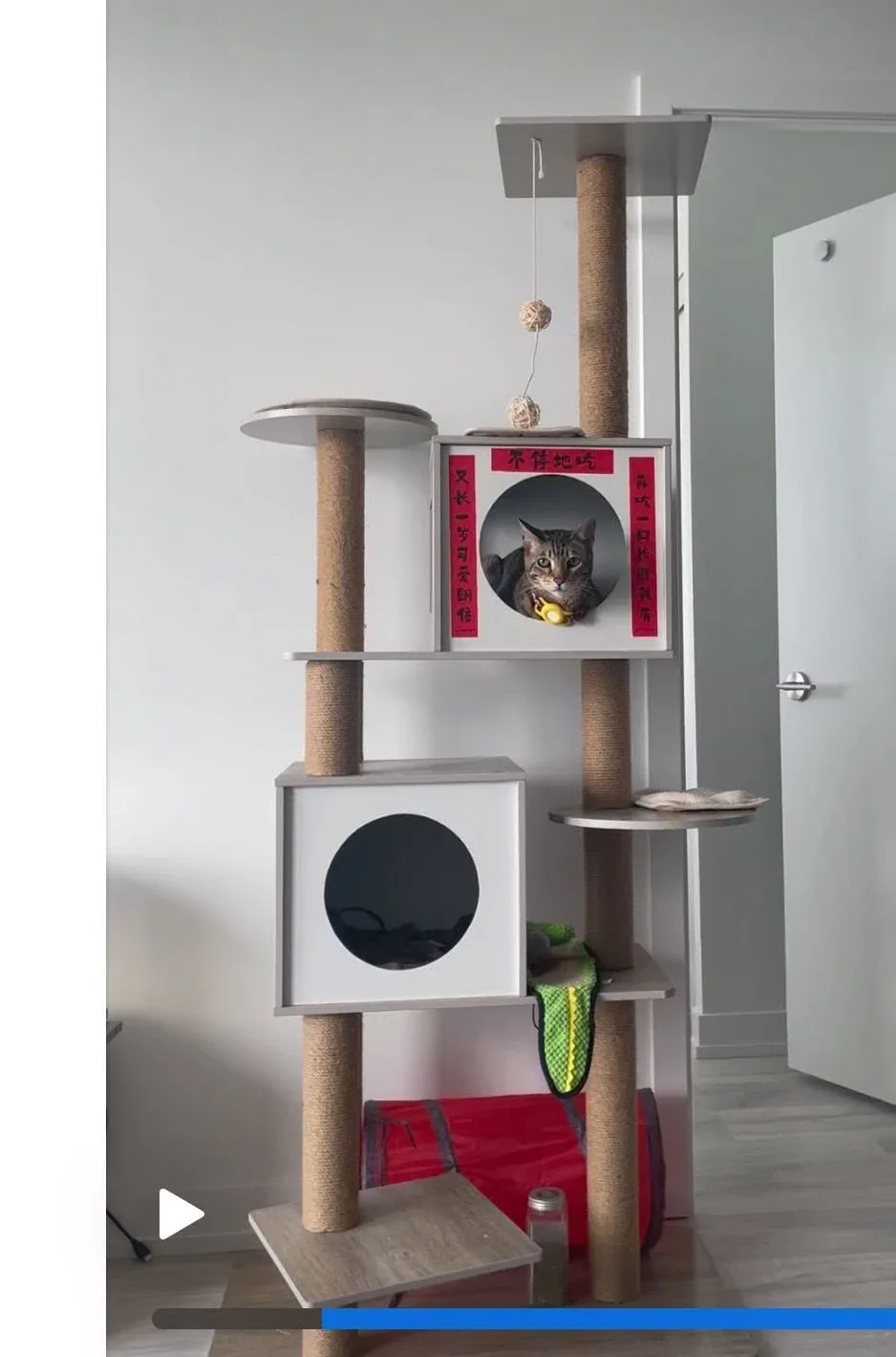 Cat Tree thumbnail