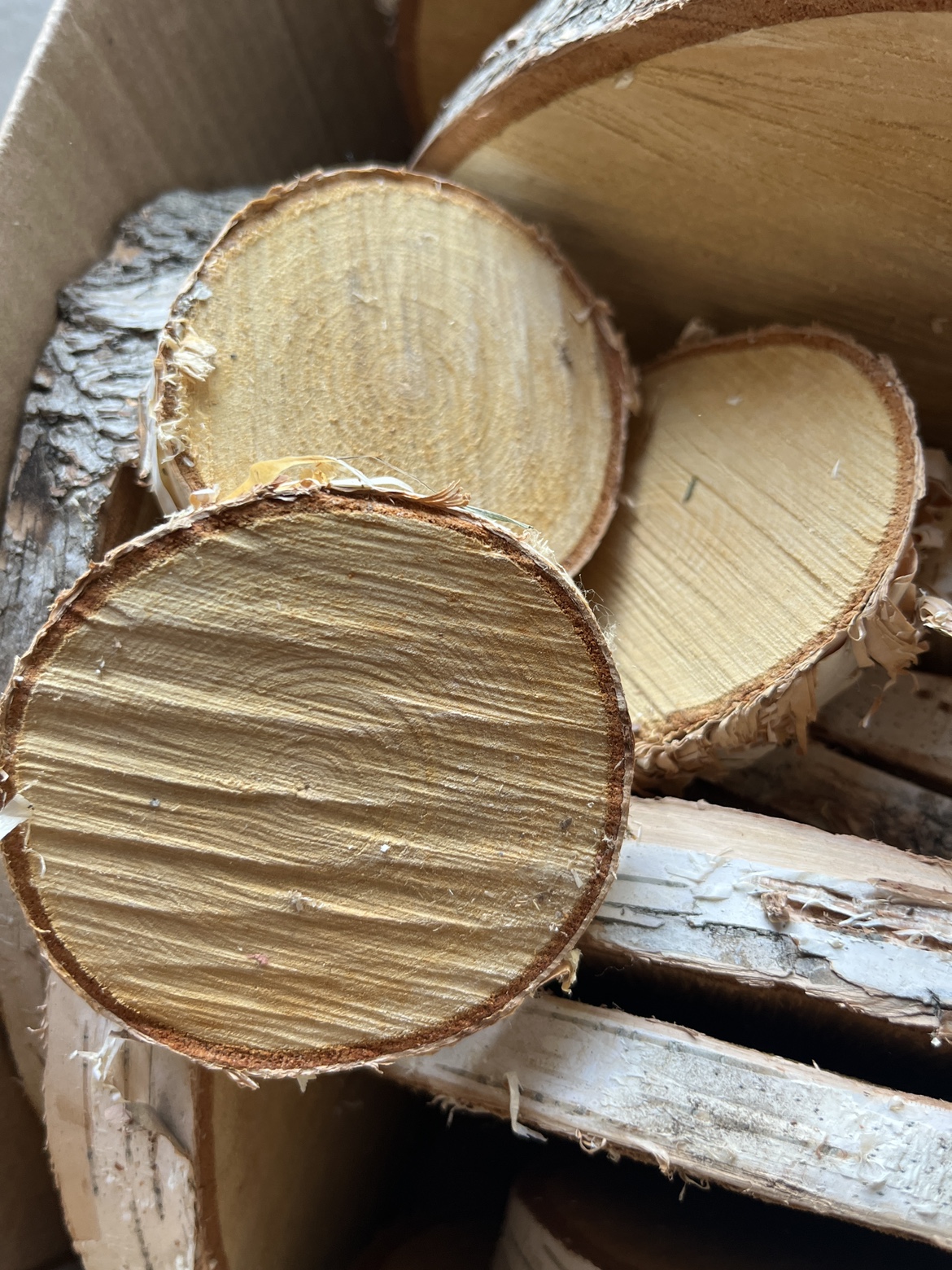 Birch Wood Rounds - photo 2