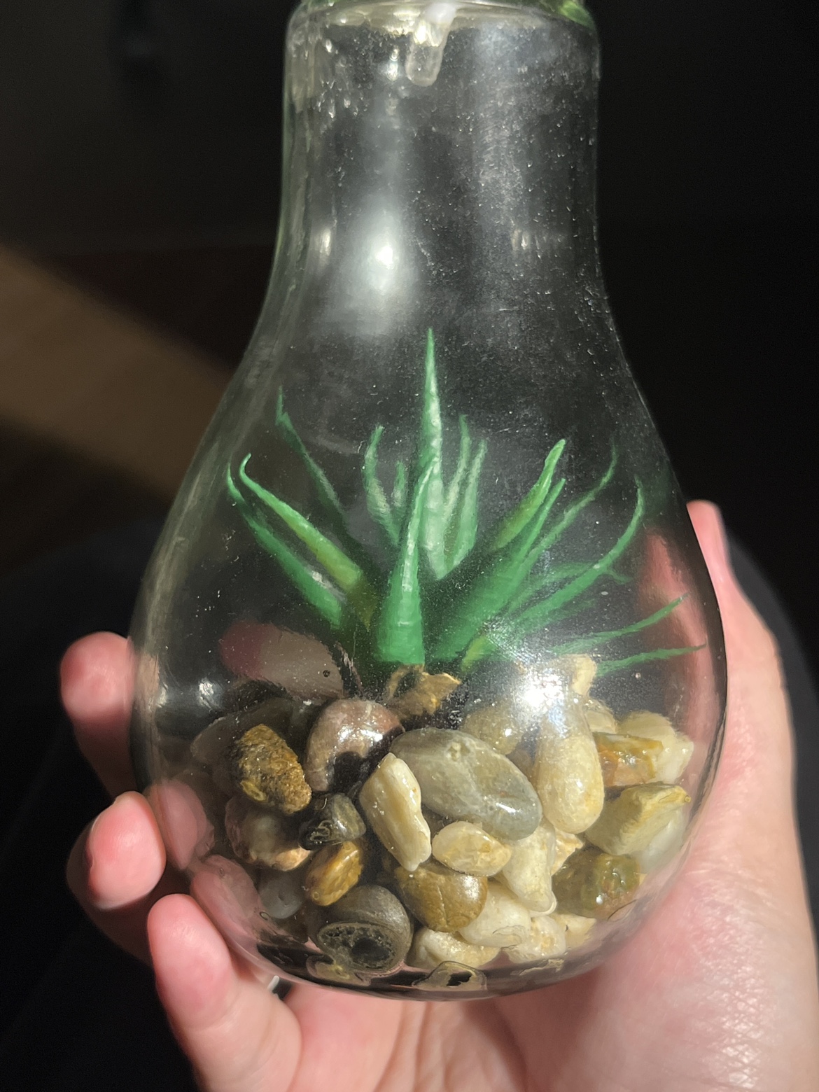 Light Bulb Planter Lamp #FreeCycle - photo 3
