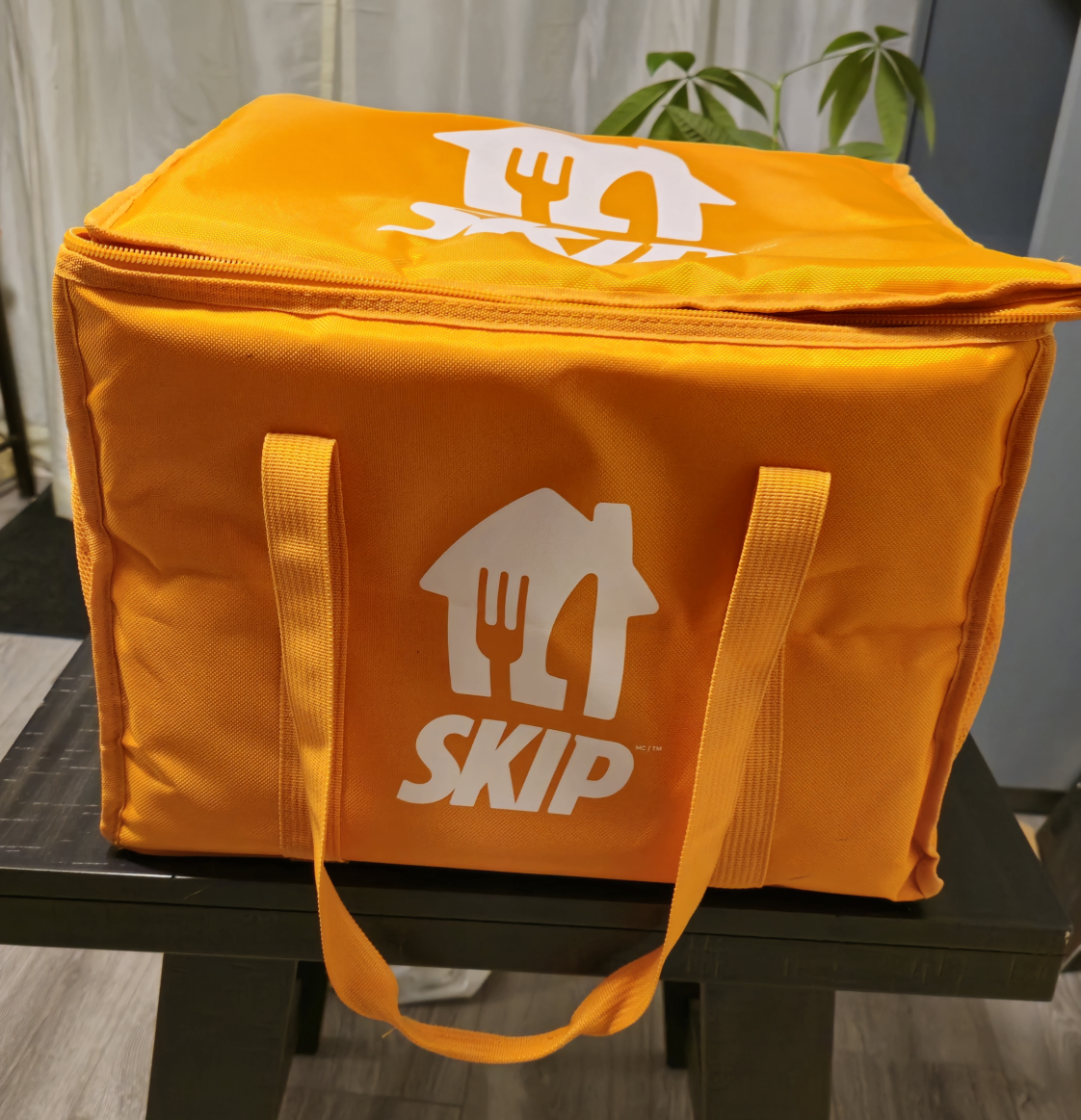 Skip the Dishes Insulated Delivery Bag & pizza  delivery bag
