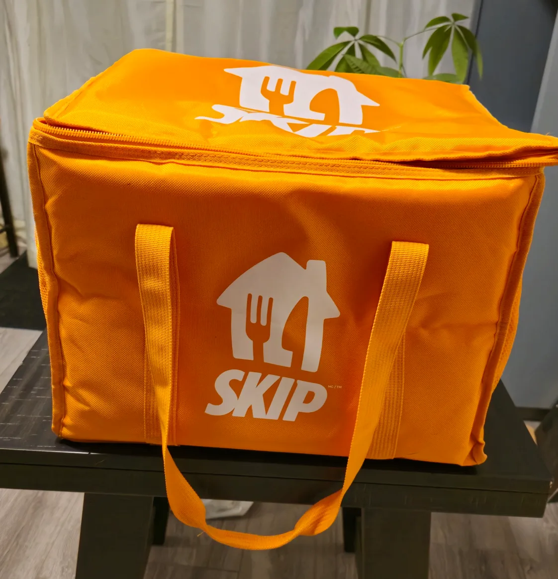 Skip the Dishes Insulated Delivery Bag & pizza  delivery bag thumbnail