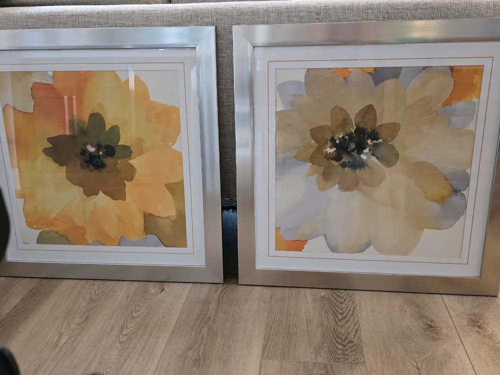 Set of Two Framed Floral Art Prints thumbnail