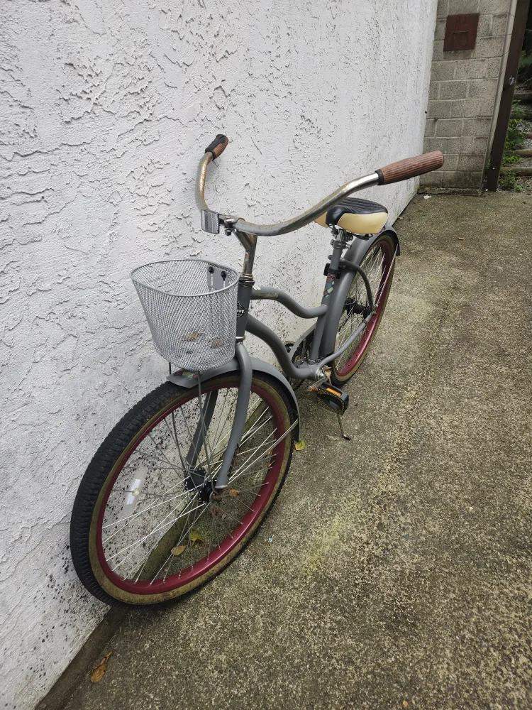 Grey Beach Cruiser Bike 🧡 thumbnail