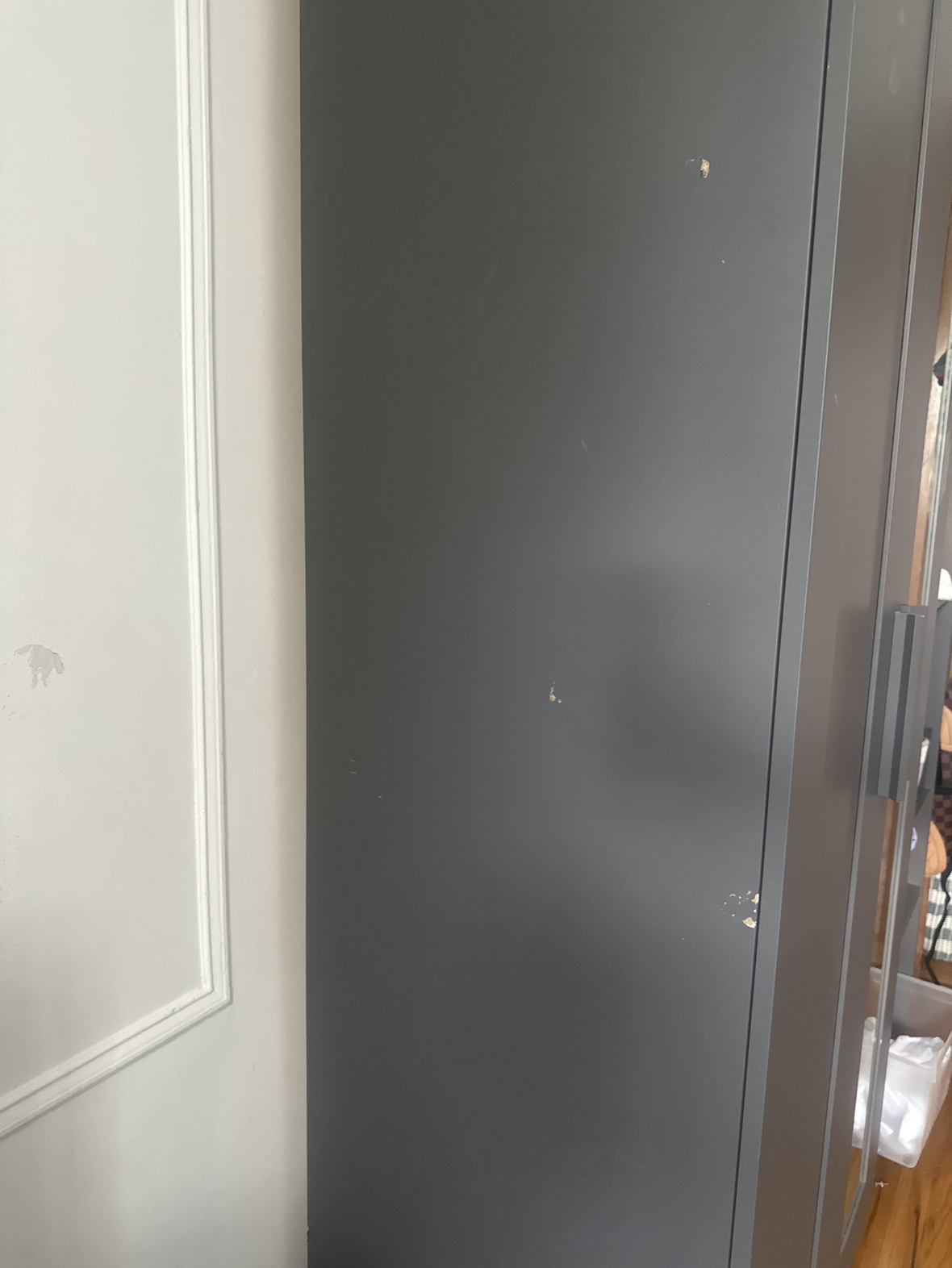 Gray Closet With Mirror - photo 3