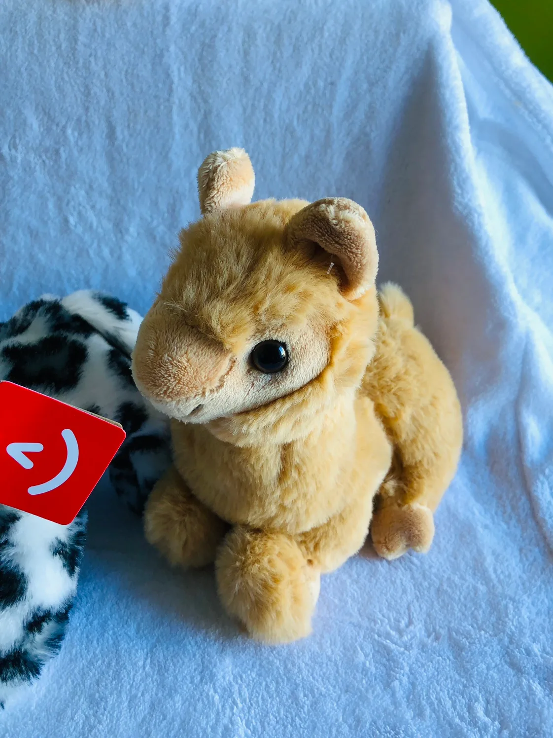 Telus Miniature Plush Toys 🧸 image indicator(5)