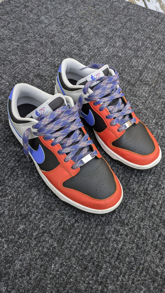 Nike Dunk Low