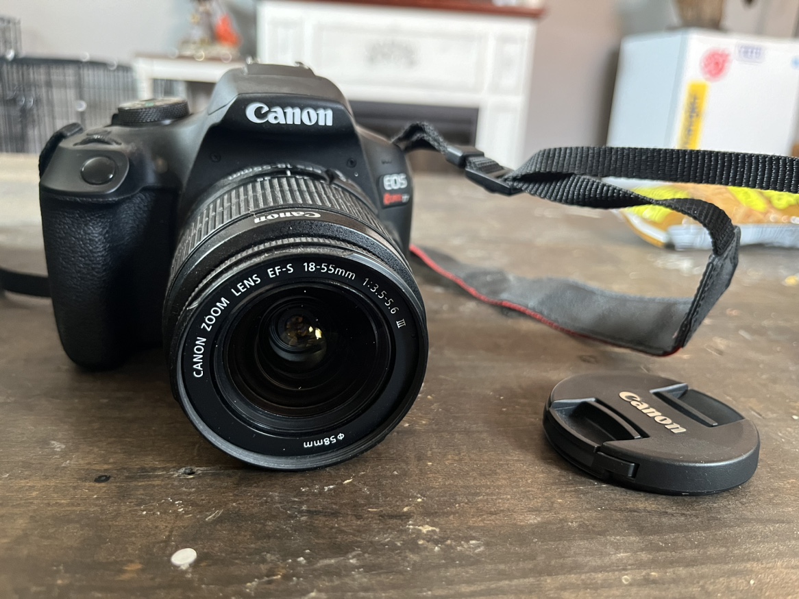Canon EOS Rebel T7 DSLR Camera - photo 4