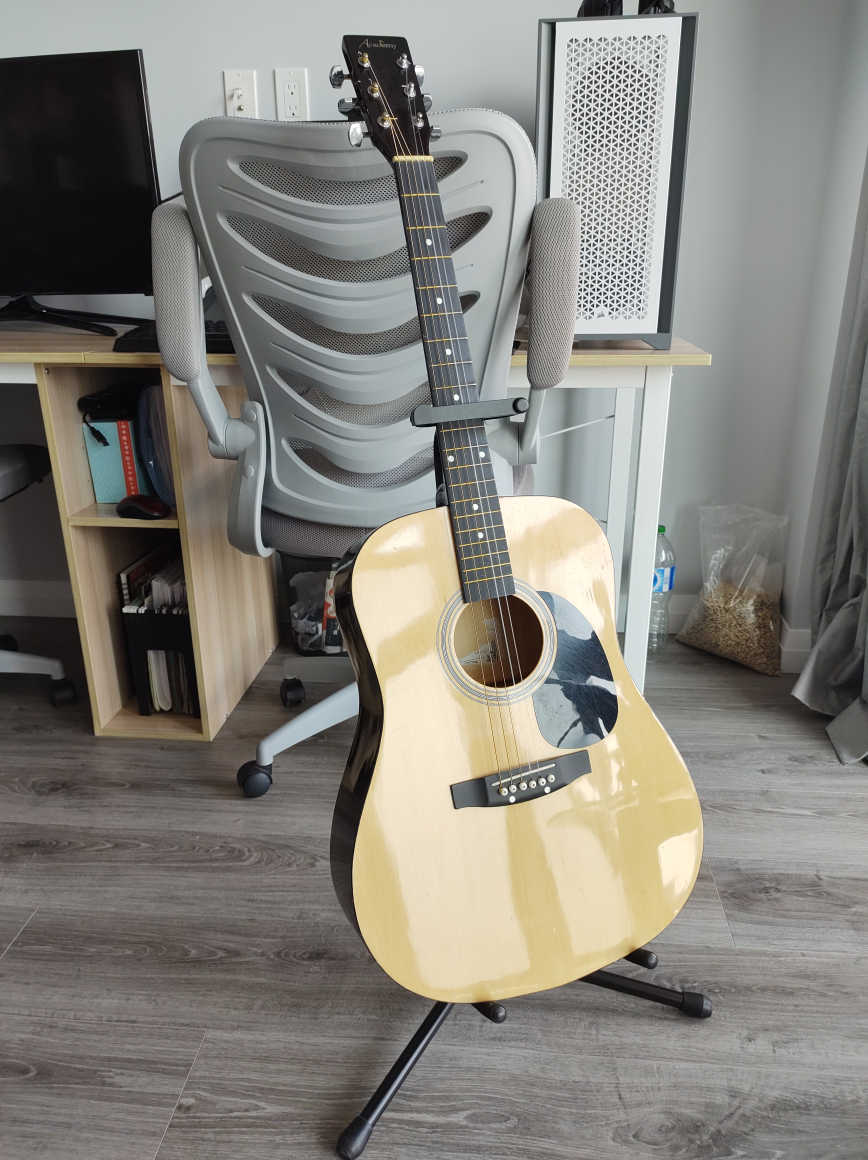 Acoustic Guitar